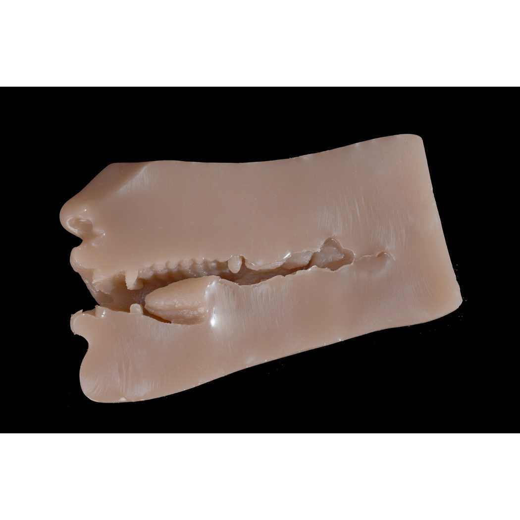 6YE Dolls <br>Teeth Blowjob Mouth Stroker - Pleasure Dolls Australia